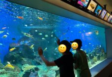 伊藤幸弘塾「水族館」