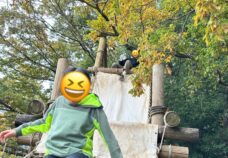 リスタスクール「フィールドアスレチック」